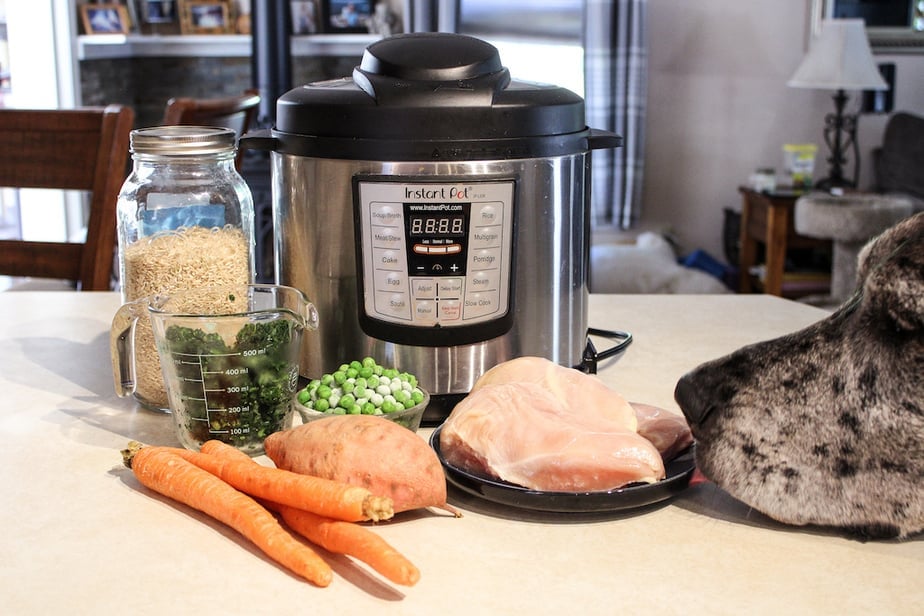 Dog resting head on a counter looking an Instant pot, jar of rice, frozen spinach in a measuring cup, peas, whole carrots, sweet potato and chicken breasts on a plate