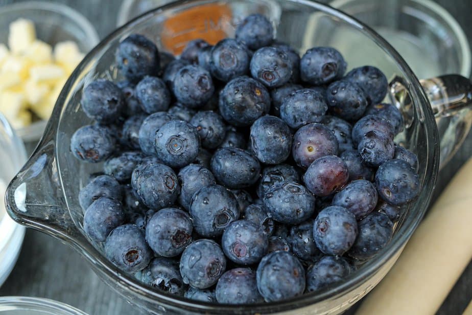 Homemade Blueberry Pie Recipe