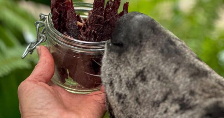 Homemade Beef Jerky for Dogs
