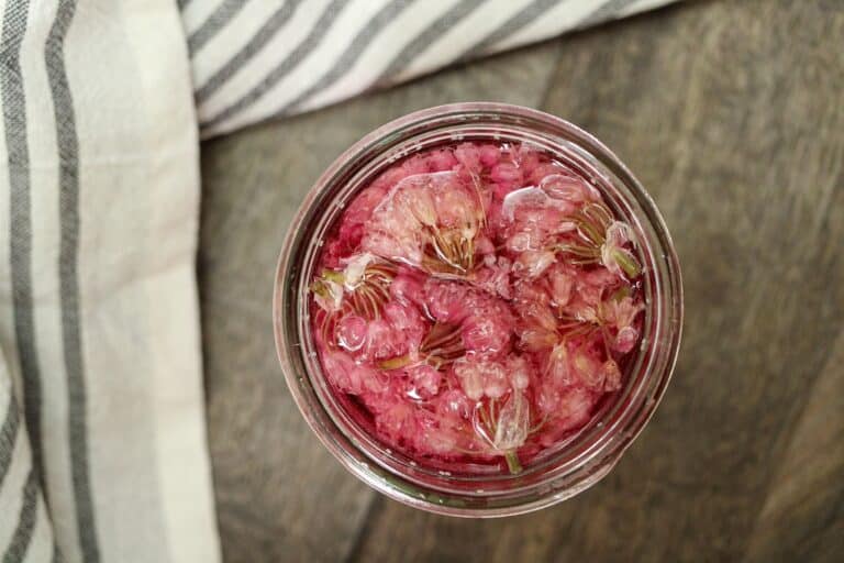 Top view of chive blossoms soaking in vinegar in a clear glass jar.