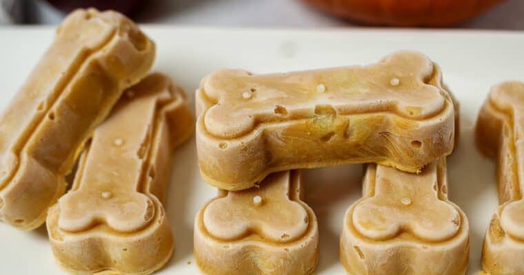 Frozen Pumpkin Dog Treats with Apple