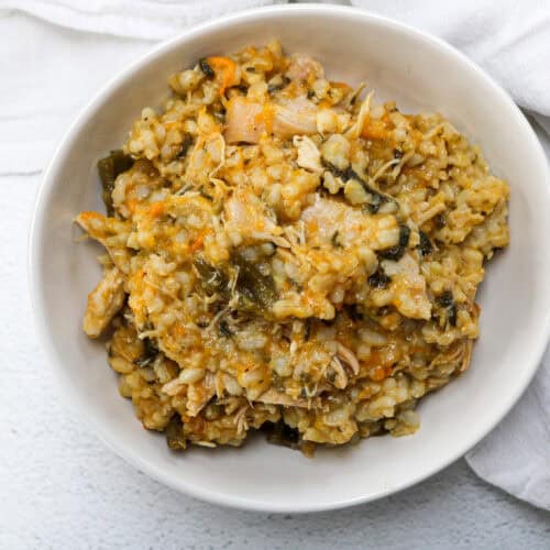 Chicken and pumpkin dog food in a white bowl.