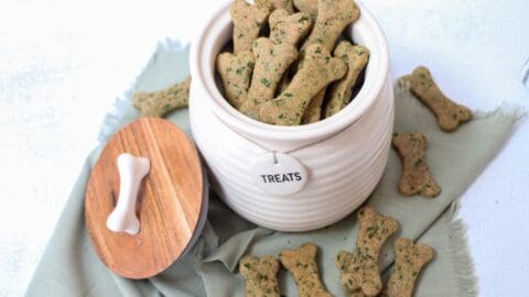Homemade Dog Cookies with Kale