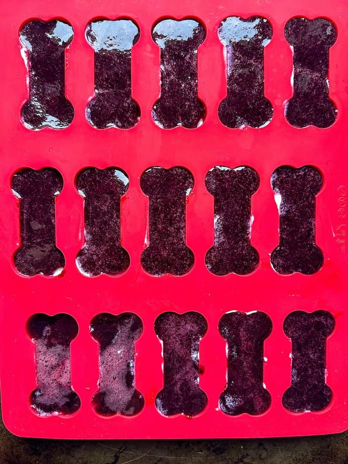 Blueberries pureed and layered in red dog-bone shaped mold.