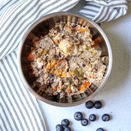 Homemade dog food in a dog bowl with fresh blueberries on the surface around bowl.