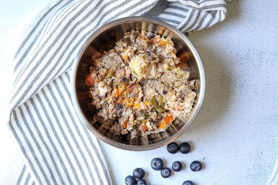 Homemade dog food in a dog bowl with fresh blueberries on the surface around bowl.