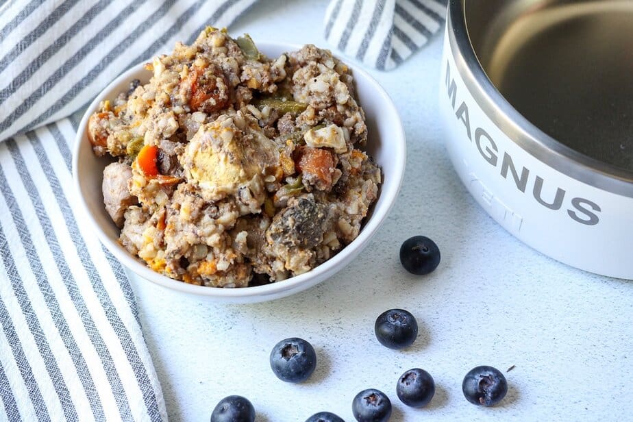 Bowl filled with homemade dog food.