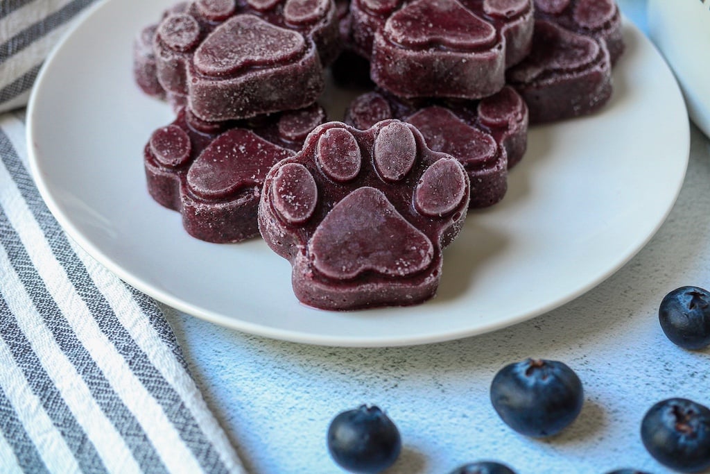 Frozen Blueberry Dog Treats in a paw print shape on a white plate.