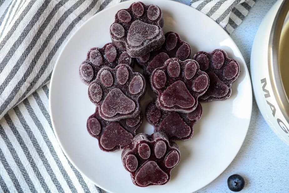 Frozen blueberry dog treats in a paw print shape and are on a white plate.