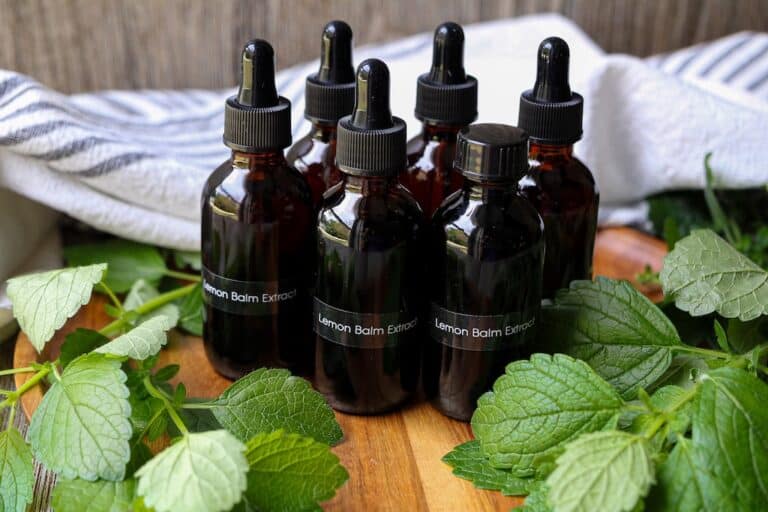 Lemon balm extract in small dark bottles with dropper lids.