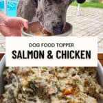 Pinterest pin with two images of dog eating from bowl and cooked food with text between images.