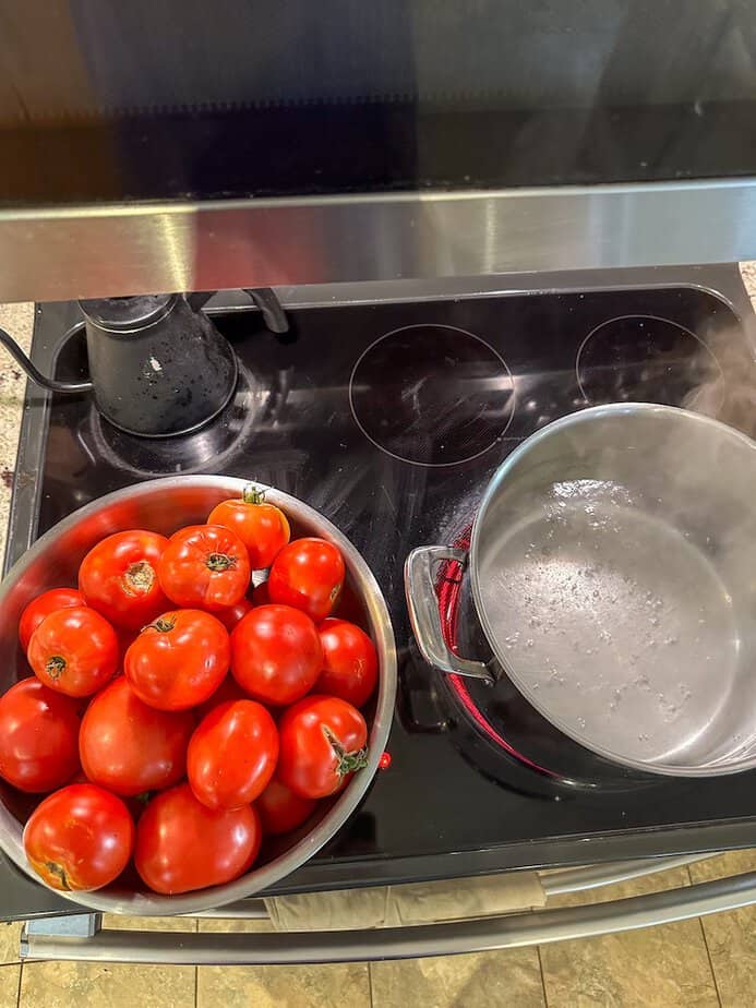 Bowl of fresh tomatoes next to a large pot of simmering water on a stove.