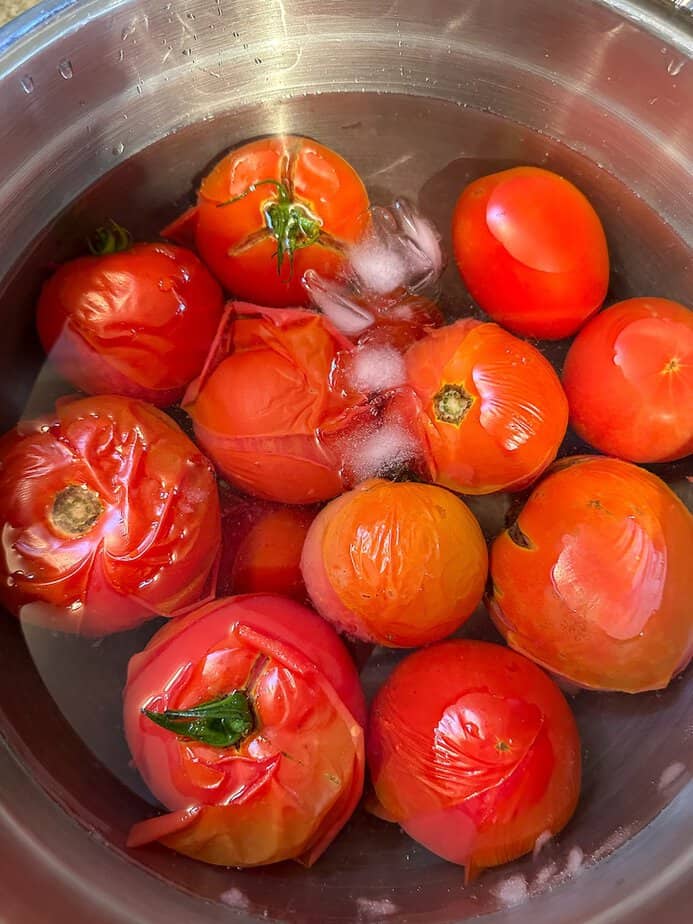 Whole tomatoes in a large bowl of ice water with skin lifting off of the tomatoes. 